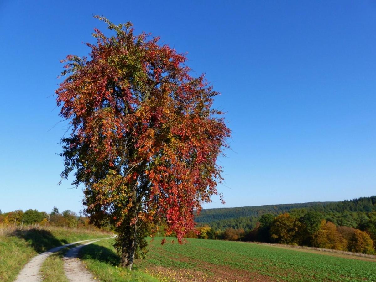 Blumenschein-Ferienwohnung Unne Kirchzell Luaran gambar